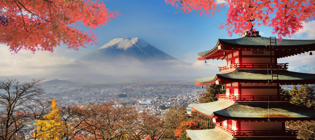 What is japanese government doing to foster health informatics? [Internacional]