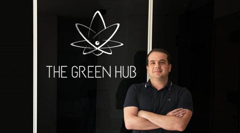 O mercado de cannabis brasileiro