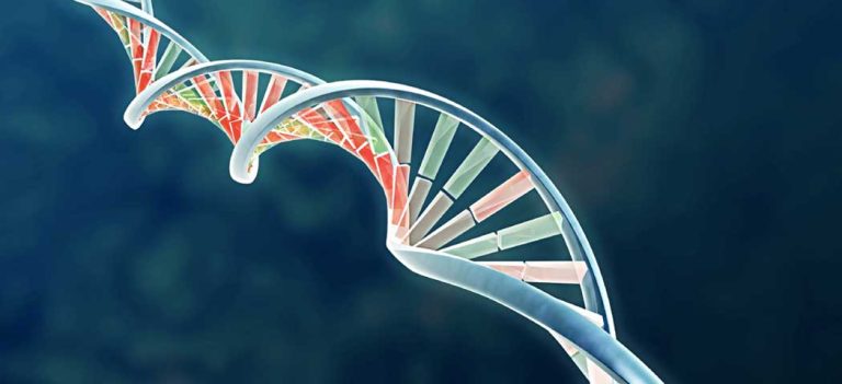 Medicina Personalizada, 10 passos para uma implementação de sucesso