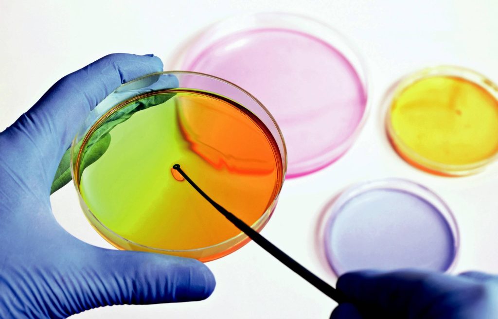 Instituto Mérieux premia pesquisadores brasileiros na área de Microbiologia