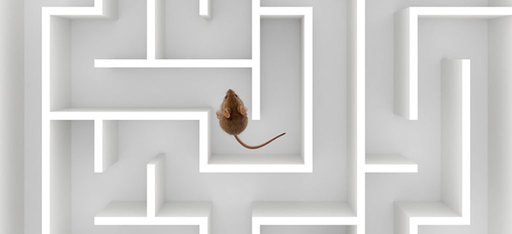 A informação de saúde online muda o comportamento?