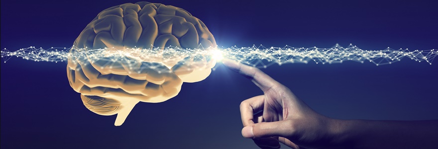 Por que empresas como Google e Microsoft levaram a neurociência para dentro de casa