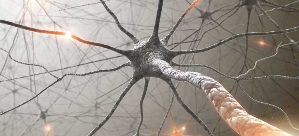 Brasileiros Inovam em Neurocirurgia