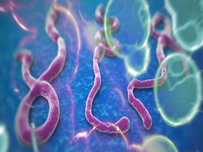 onu-e-medicos-alertam-para-propagacao-acelerada-do-ebola.jpg