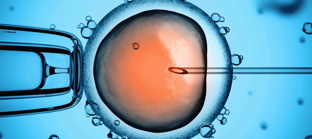 O que o gestor do serviço de reprodução humana deve ter em mente?