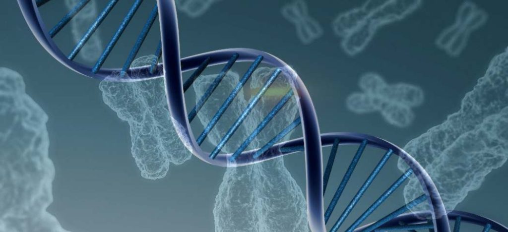 lllumina e Fiocruz estabelecem parceria para ampliar a disponibilidade de testes genéticos no SUS