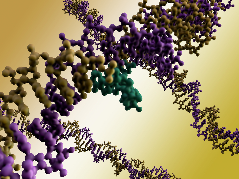 Genômica: Uma Grande Aposta de Futuro para a Medicina