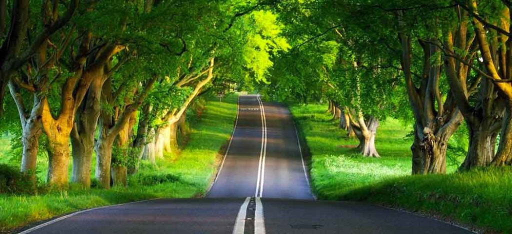 12 Verdades por Trás do Sucesso Profissional