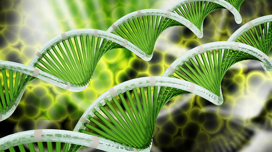 Como a radiologia digital contribui para a sustentabilidade