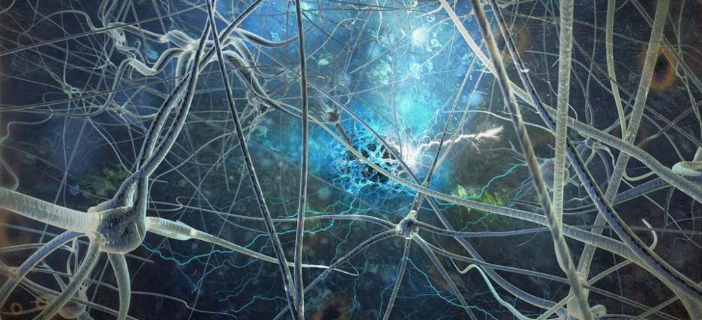 Já podemos ter um tecido cerebral em laboratório?