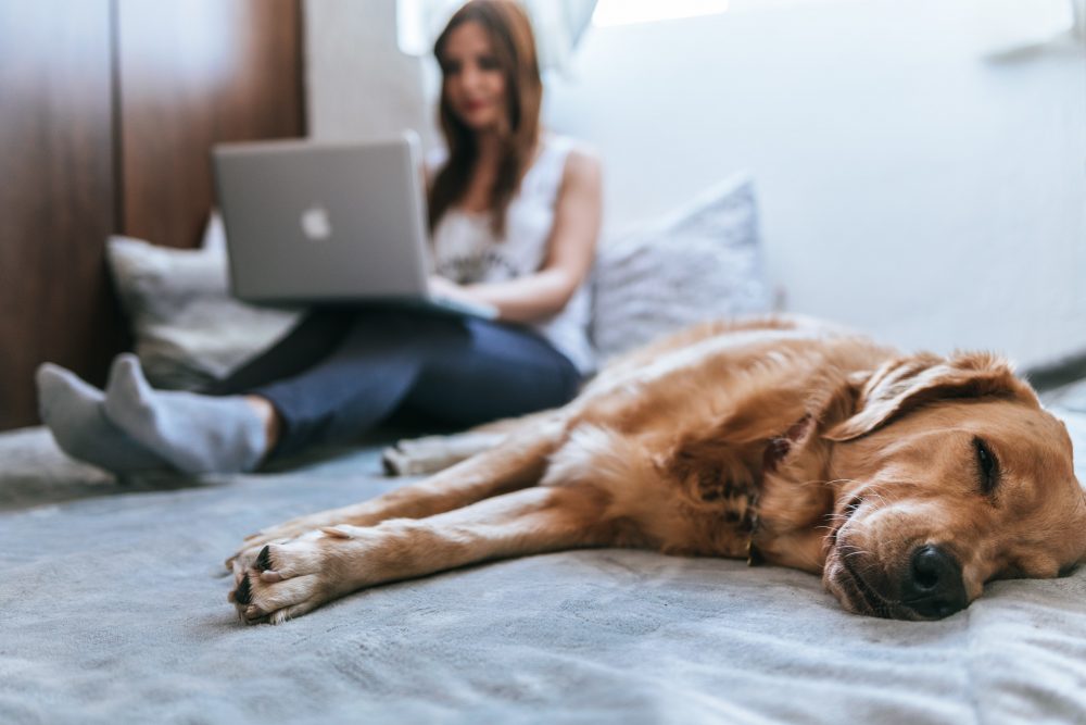 Atendimento psicológico online é tão eficaz quanto o presencial, afirma especialista