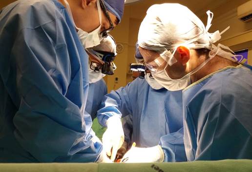 transplanta-duplo-SC