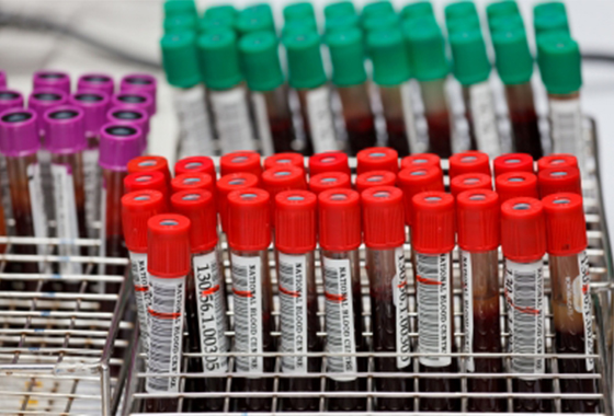 tubos_freedigitalphoto_net