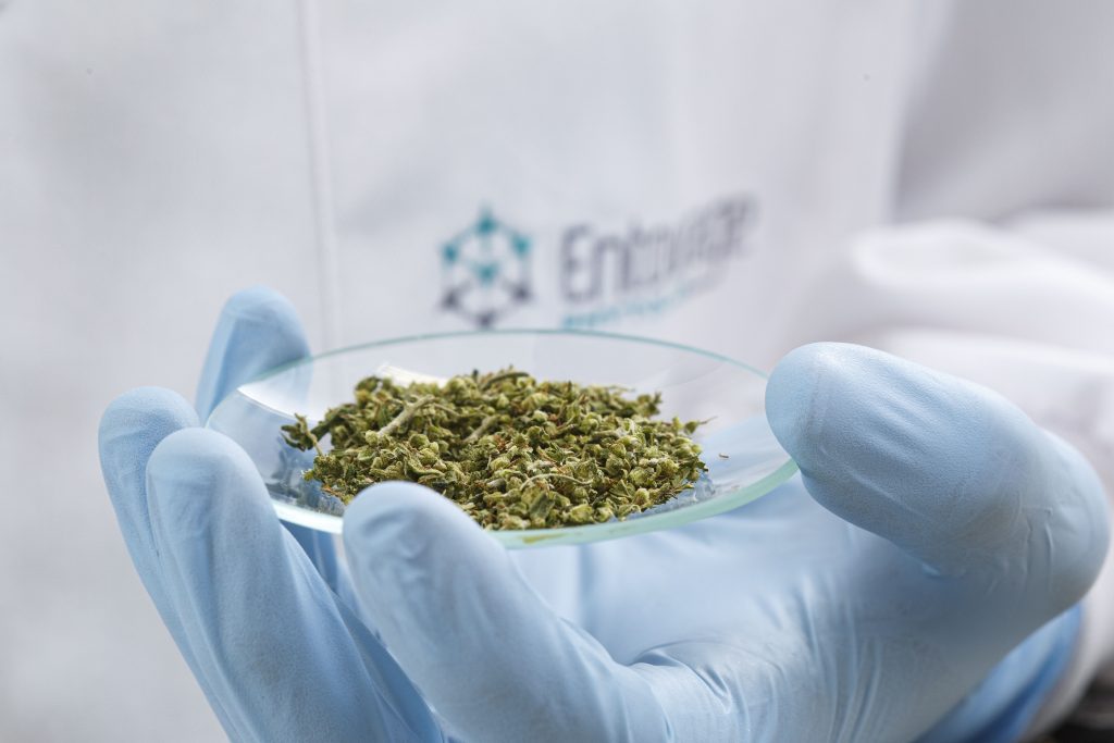 Entourage Phytolab assina acordo com multinacional Clever Leaves, líder global em cannabis medicinal