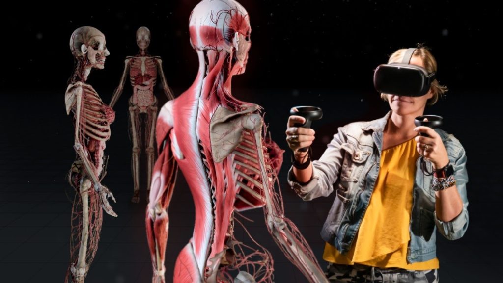 Realidade Virtual coloca estudantes dentro do corpo humano