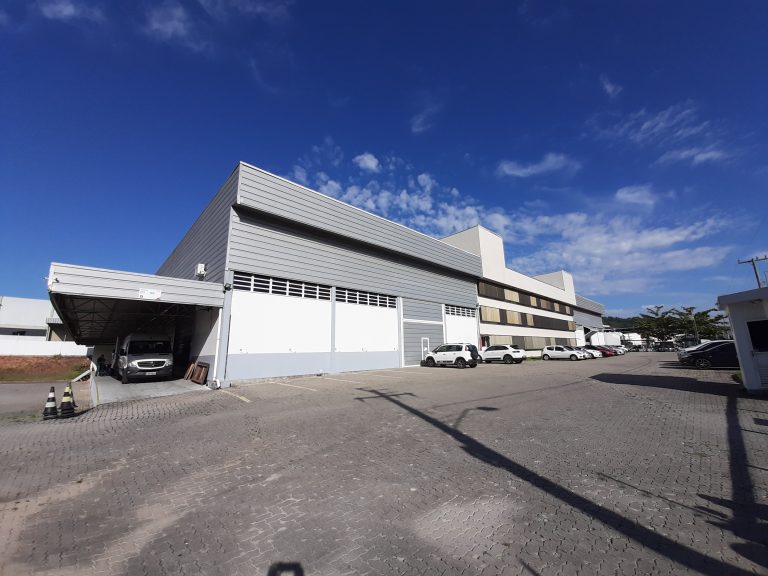 Imex Medical Group 1.jpg