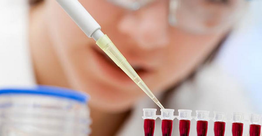 Hospitais e laboratórios utilizam cada vez mais serviços terceirizados de gestão e organização de materiais, como exames patológicos