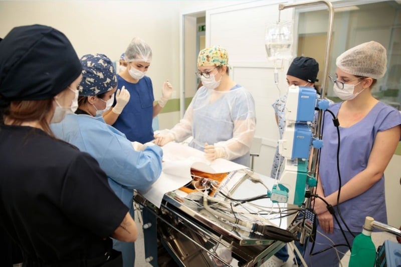 Tempo médio de ocupação em leitos de UTI é de 18,5 dias