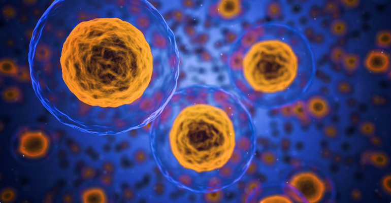 Dasa anuncia estudo para investigar papel da imunidade celular contra Covid-19