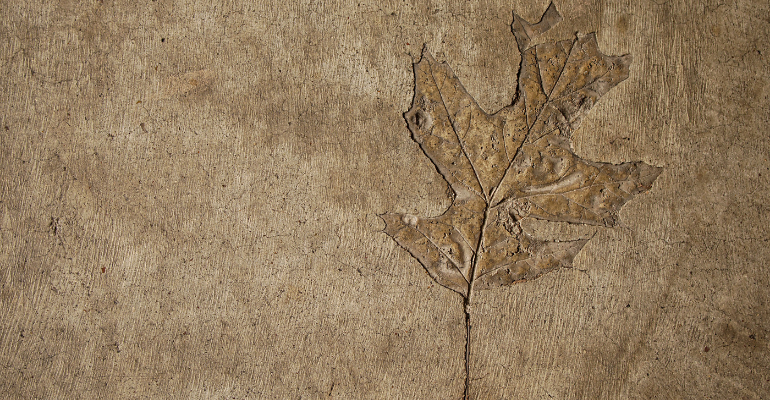 Antes de praticar sustentabilidade, é preciso compreendê-la