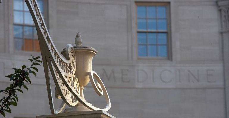 Inscrições abertas para nova edição do Programa de Mentoria gratuita de Yale para jovens cientistas brasileiros