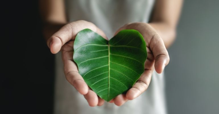 Viveo cria projetos para área de saúde com objeto de reduzir a emissão de CO2 e diminuir a produção de resíduos sólidos