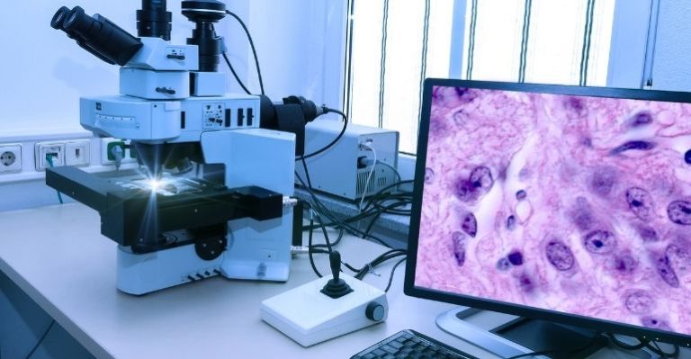 portal saude business.jpg