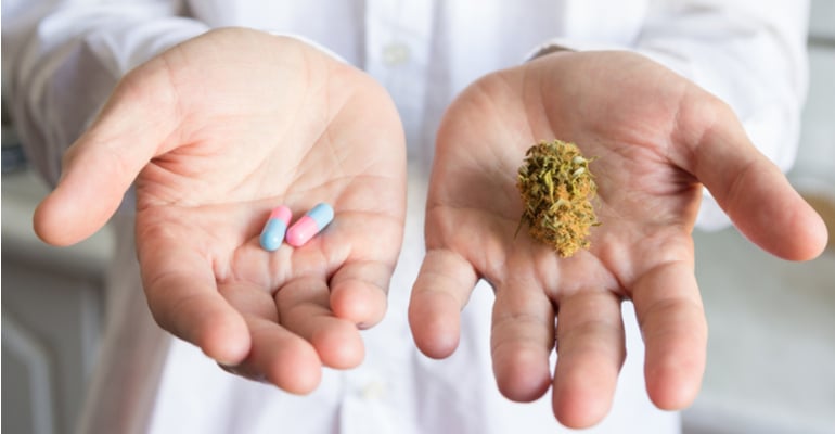 Cannect lança ecossistema de cannabis medicinal para integrar diferentes atores da saúde