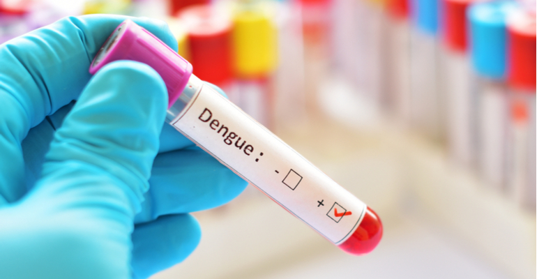 Casos de dengue aumentaram 284% em consultas via telemedicina em 2022