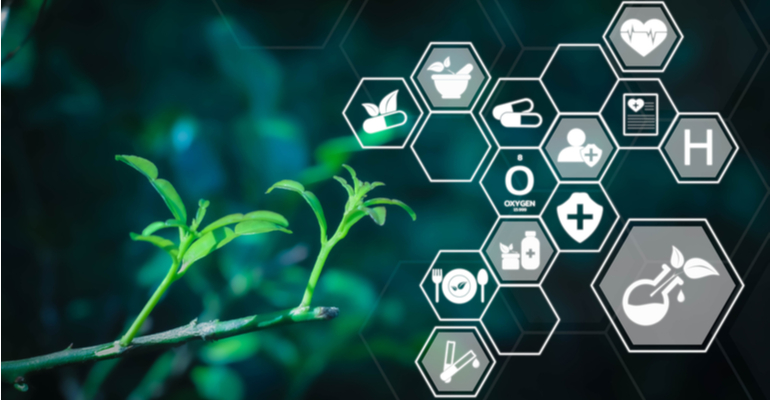 Qualicorp lança seu 1º Relatório de Sustentabilidade