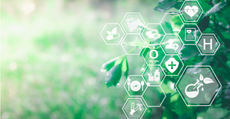 Schneider Electric é premiada pelo Einstein na categoria sustentabilidade