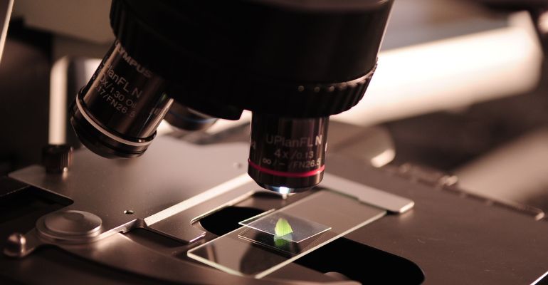 MKM Biotech fecha acordo com as duas primeiras startups na área de biotecnologia: cannabis medicinal e tratamento oncológico personalizado