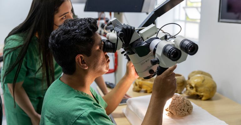 Maior laboratório de Anatomia Microneurocirúrgica da América Latina está na Unifesp