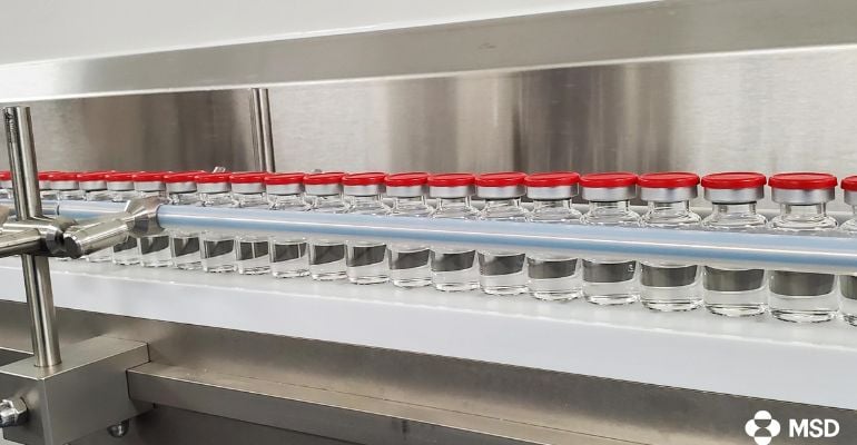 Robert Evans é o novo CFO da farmacêutica MSD Brasil