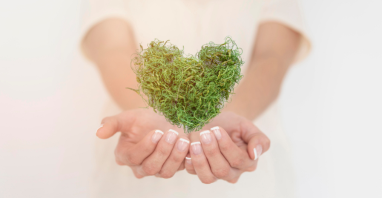 Com centro cirúrgico móvel, ONG Expedicionários da Saúde vence o Prêmio Zayed de Sustentabilidade 2023 na categoria saúde