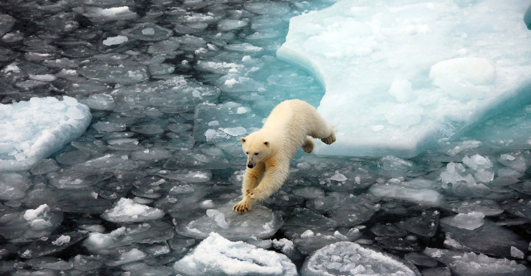 Planos de Saúde passarão a ser “Planos de Benefícios Baseados em Dados”
