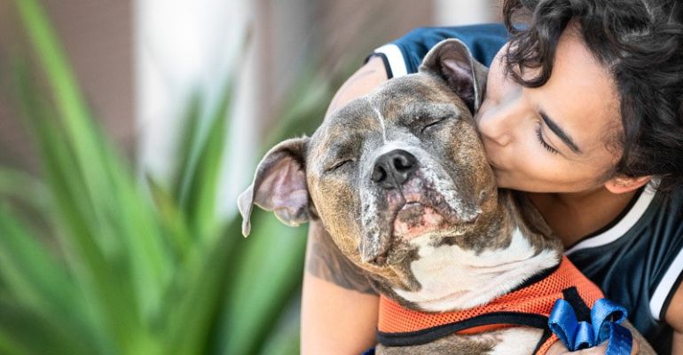 Estudo aponta que a convivência com pets reduz o custo na saúde