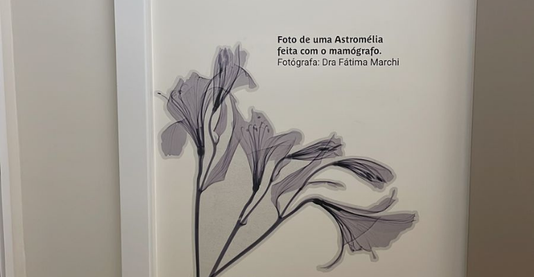 CDPI Mulher inaugura Núcleo de Mama utilizando a arte como forma de acolhimento