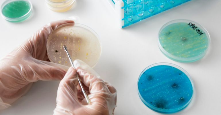 Acesso a saúde: Illumina lança iniciativa para sequenciamento de patógenos em países de baixa renda