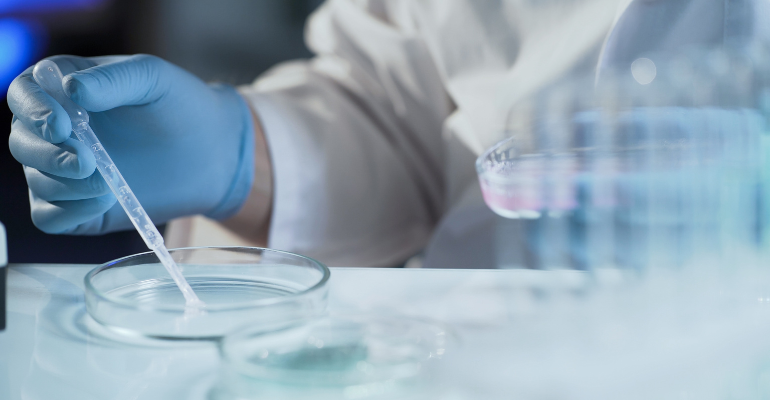 IA na seleção de óvulos: uma nova fronteira na medicina reprodutiva