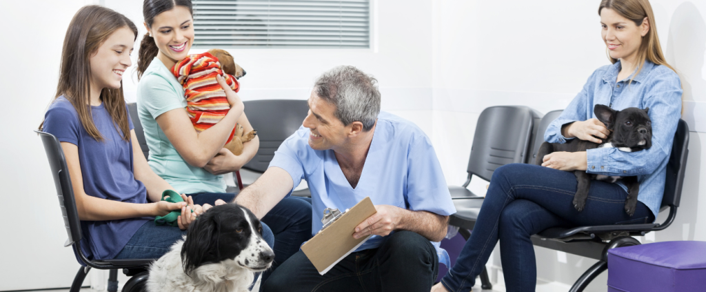 6 dicas para reduzir o tempo de espera na sua clínica veterinária
