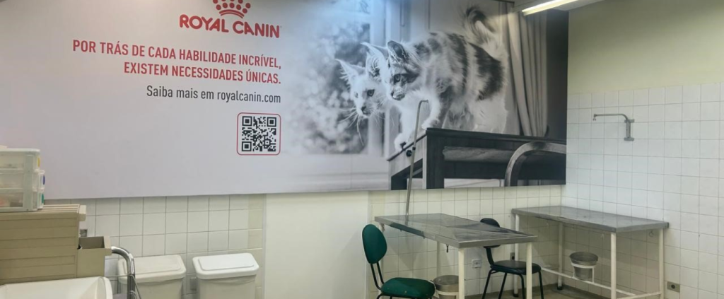 Parceria entre Royal Canin e Hospital Veterinário da USP avança com novas melhoria para felinos
