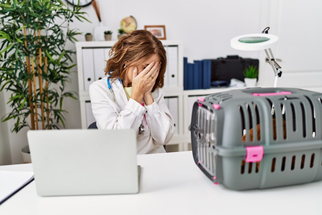Burnout na medicina veterinária: como proteger a saúde mental dos profissionais?