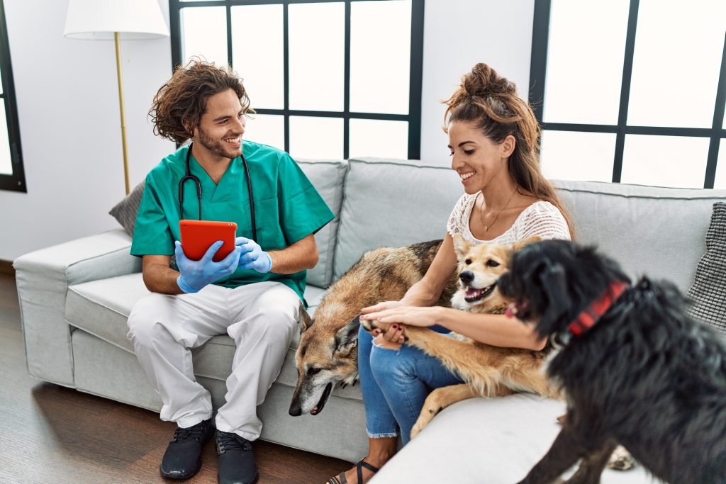 Saiba por que vale a pena oferecer atendimento domiciliar em sua clínica veterinária