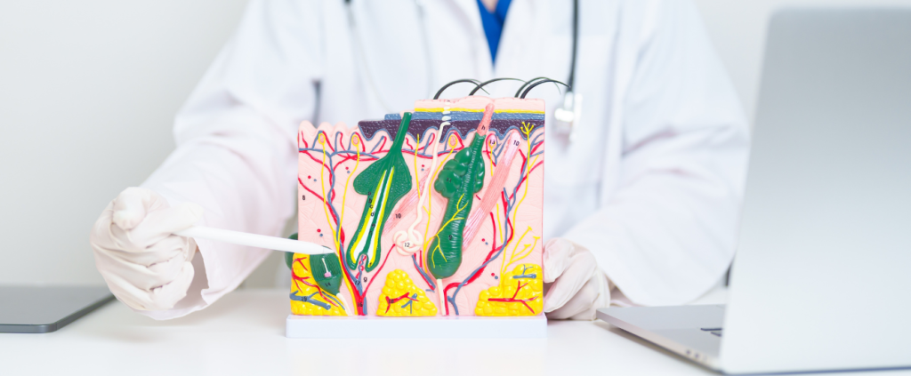 São Paulo ganha novo centro especializado em dermatologia na Vila Olímpia