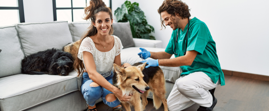 Consulta pública do CFMV discute atendimento veterinário domiciliar