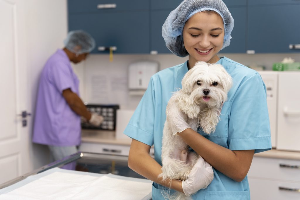 CFMV defende inclusão da Medicina Veterinária em avaliação nacional