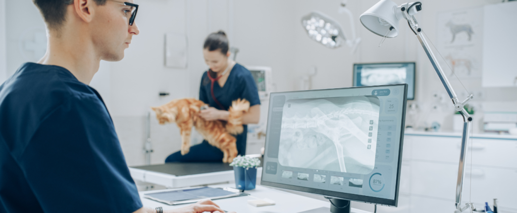 Tecnologia veterinária: o que vale a pena investir