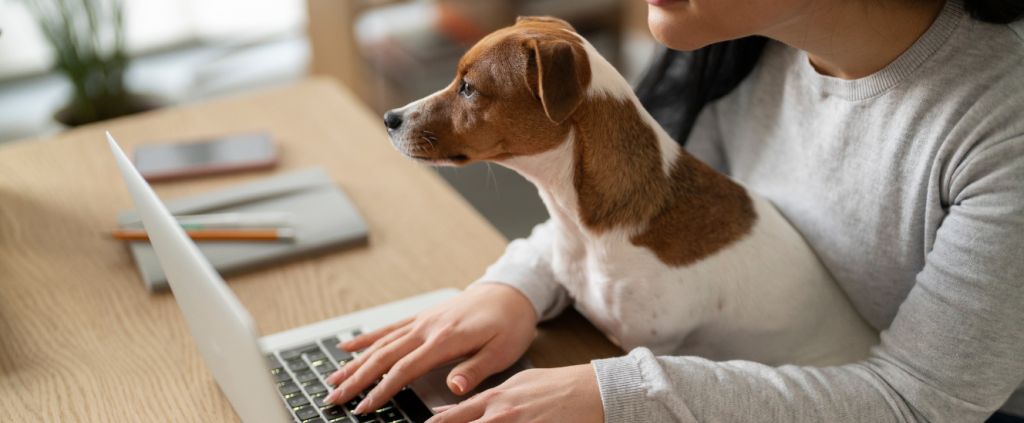 Transforme dados em lucro: O poder do CRM na sua clínica veterinária