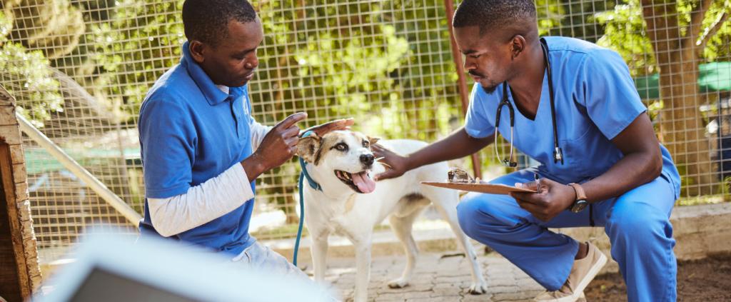 ESG na prática: como sua clínica veterinária pode gerar impacto social